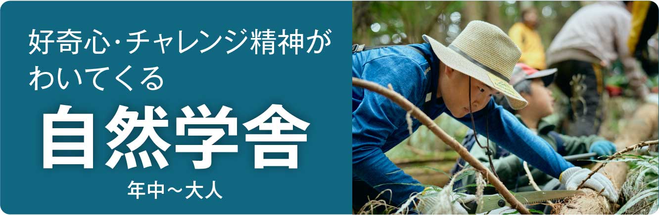 自然学舎ホームページへ