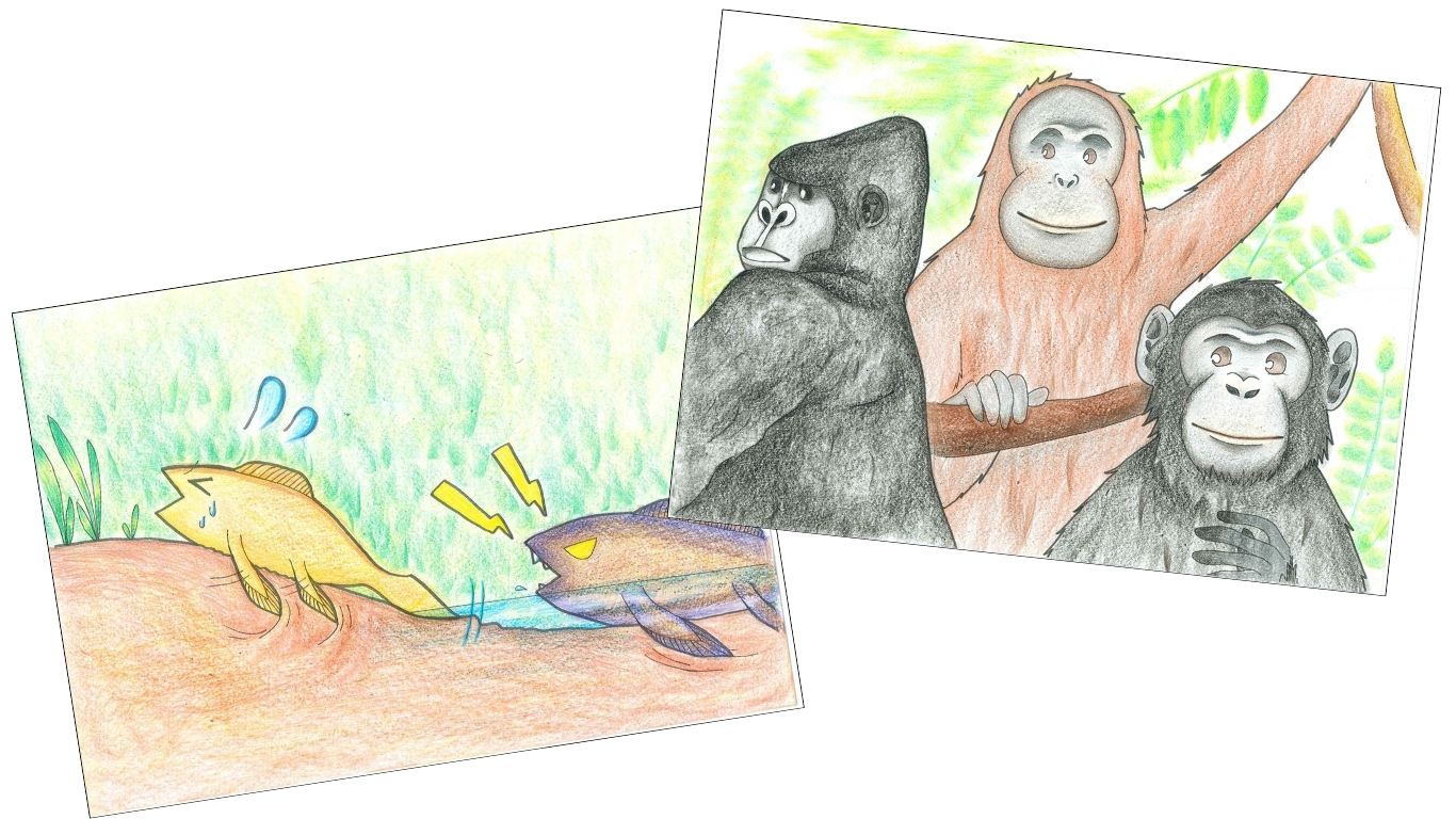 体験授業の様子